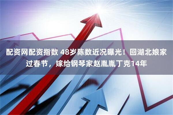 配资网配资指数 48岁陈数近况曝光！回湖北娘家过春节，嫁给钢琴家赵胤胤丁克14年