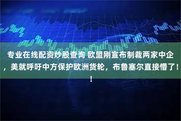 专业在线配资炒股查询 欧盟刚宣布制裁两家中企，美就呼吁中方保护欧洲货轮，布鲁塞尔直接懵了！